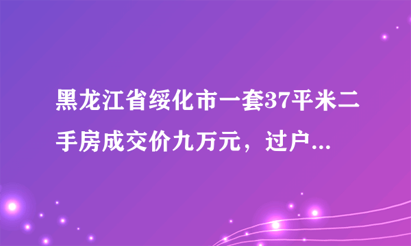 黑龙江省绥化市一套37平米二手房成交价九万元，过户时税费加上所有乱七八糟的费用一共需要多少，谢谢