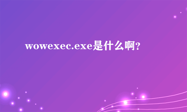 wowexec.exe是什么啊？