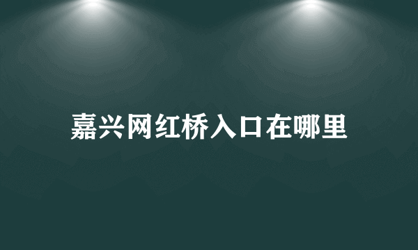 嘉兴网红桥入口在哪里