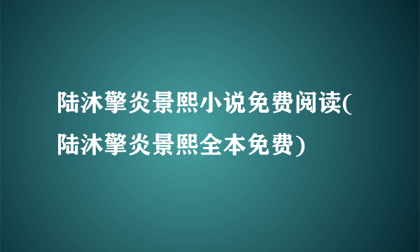 陆沐擎炎景熙小说免费阅读(陆沐擎炎景熙全本免费)