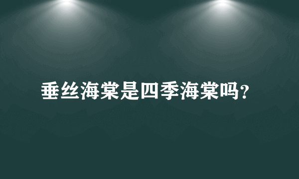 垂丝海棠是四季海棠吗？