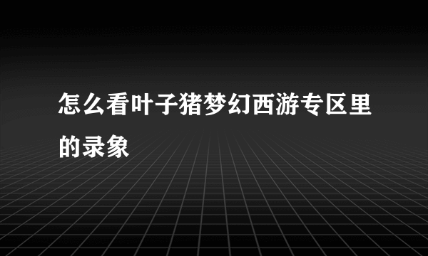 怎么看叶子猪梦幻西游专区里的录象