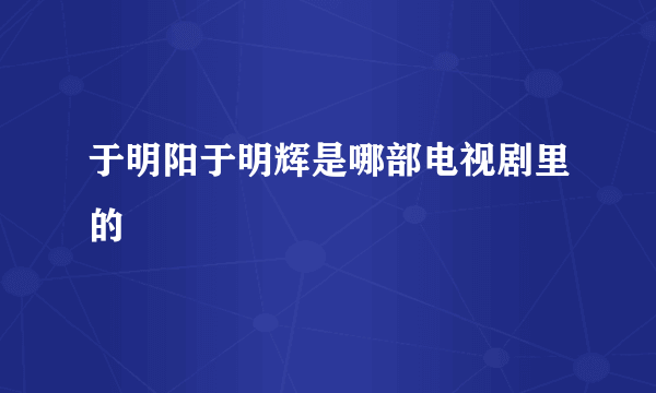 于明阳于明辉是哪部电视剧里的