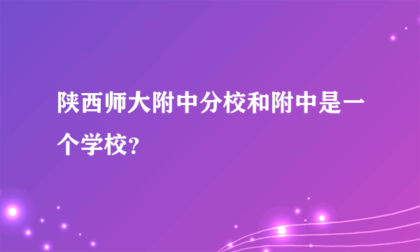 陕西师大附中分校和附中是一个学校？