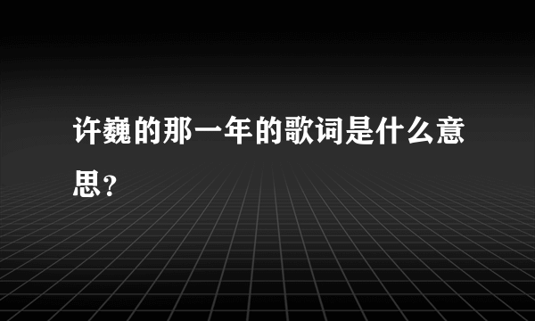 许巍的那一年的歌词是什么意思？