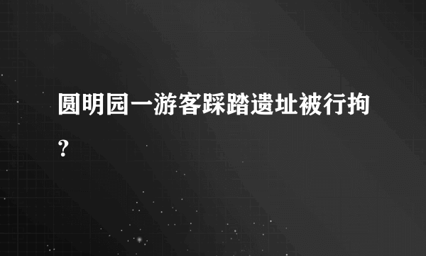 圆明园一游客踩踏遗址被行拘？