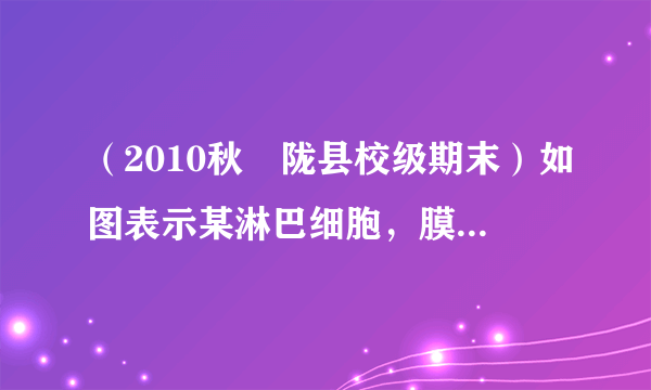 （2010秋•陇县校级期末）如图表示某淋巴细胞，膜外颗粒为抗体，请回答：（1）该细胞为    细胞，它是由    细胞增殖分化而来的．（2）抗体的化学本质是    ．（3）抗体在    （填细胞器名称）中合成，之后在    和    中被加工和运输．它被分泌出细胞的过程中要消耗主要由    提供的能量．