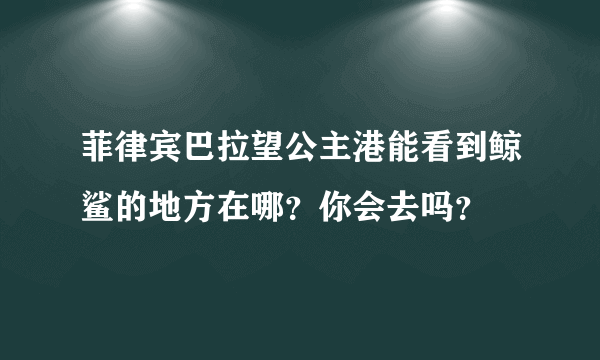 菲律宾巴拉望公主港能看到鲸鲨的地方在哪？你会去吗？