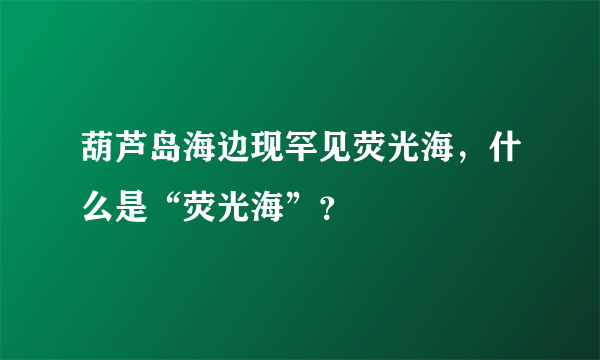 葫芦岛海边现罕见荧光海，什么是“荧光海”？