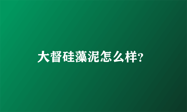 大督硅藻泥怎么样？