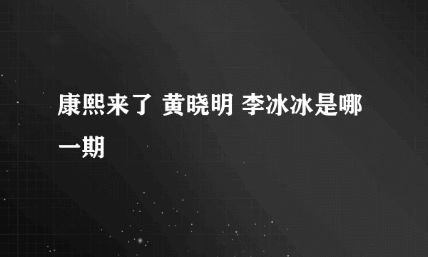 康熙来了 黄晓明 李冰冰是哪一期