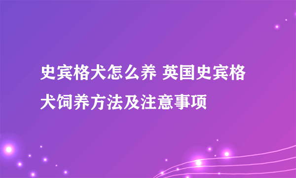 史宾格犬怎么养 英国史宾格犬饲养方法及注意事项