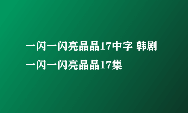 一闪一闪亮晶晶17中字 韩剧一闪一闪亮晶晶17集