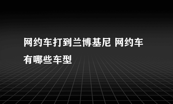 网约车打到兰博基尼 网约车有哪些车型