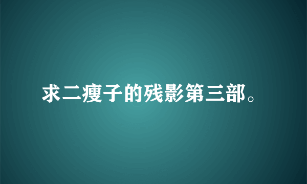 求二瘦子的残影第三部。