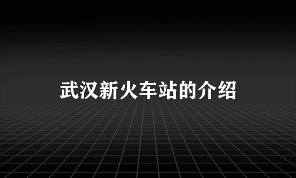 武汉新火车站的介绍