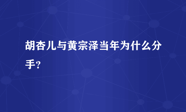 胡杏儿与黄宗泽当年为什么分手？