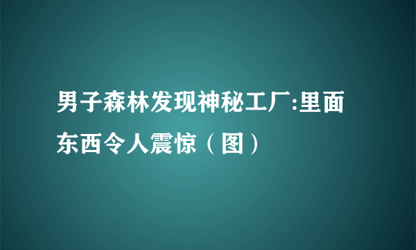 男子森林发现神秘工厂:里面东西令人震惊（图）