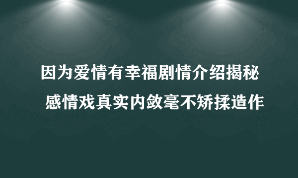 因为爱情有幸福剧情介绍揭秘 感情戏真实内敛毫不矫揉造作