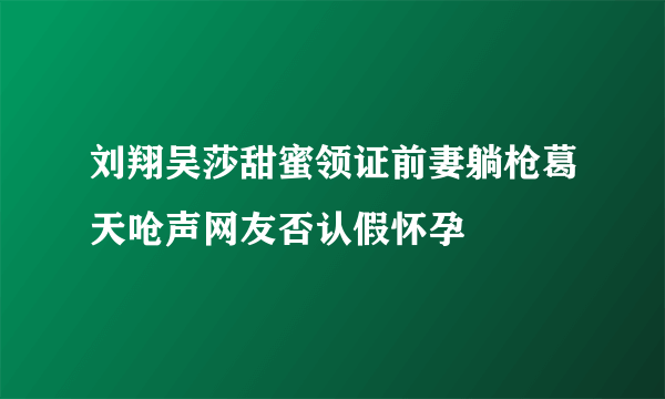 刘翔吴莎甜蜜领证前妻躺枪葛天呛声网友否认假怀孕