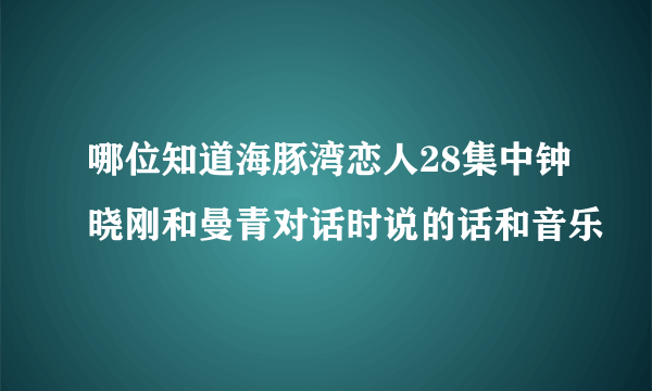 哪位知道海豚湾恋人28集中钟晓刚和曼青对话时说的话和音乐