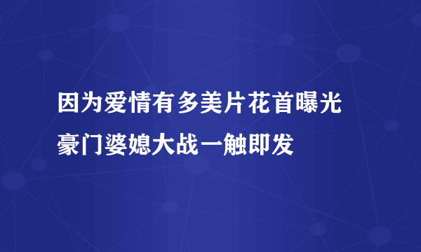 因为爱情有多美片花首曝光 豪门婆媳大战一触即发