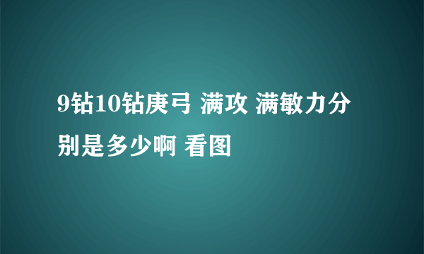 9钻10钻庚弓 满攻 满敏力分别是多少啊 看图