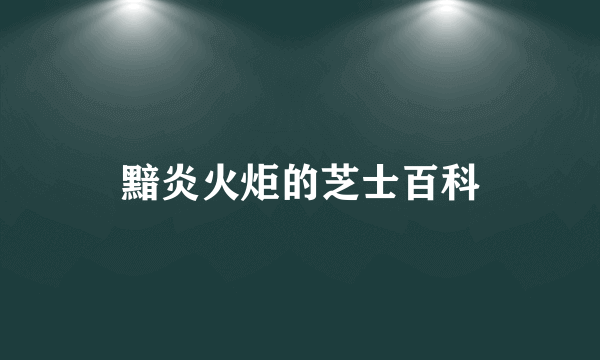 黯炎火炬的芝士百科