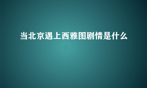 当北京遇上西雅图剧情是什么