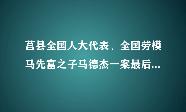 莒县全国人大代表、全国劳模马先富之子马德杰一案最后怎么判的