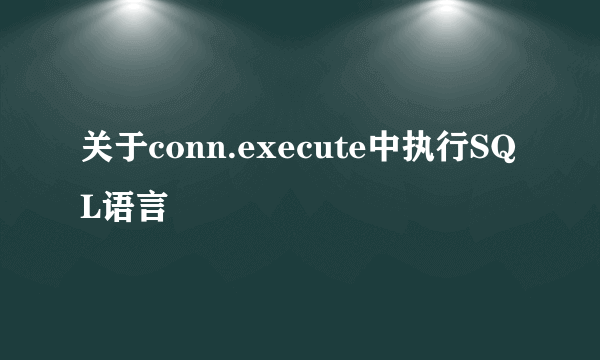 关于conn.execute中执行SQL语言