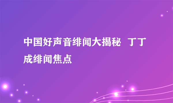 中国好声音绯闻大揭秘  丁丁成绯闻焦点