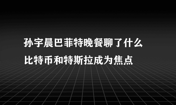 孙宇晨巴菲特晚餐聊了什么 比特币和特斯拉成为焦点