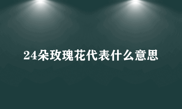 24朵玫瑰花代表什么意思