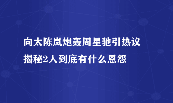 向太陈岚炮轰周星驰引热议 揭秘2人到底有什么恩怨