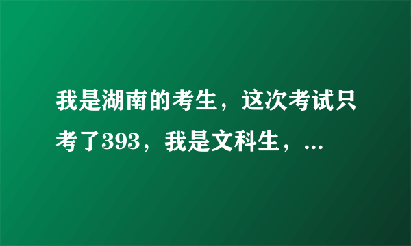 我是湖南的考生，这次考试只考了393，我是文科生，我在湖南能读什么学校？