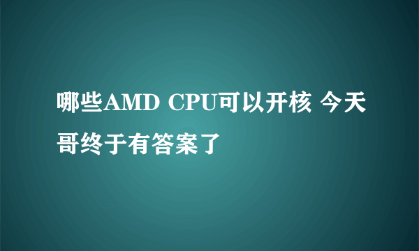 哪些AMD CPU可以开核 今天哥终于有答案了