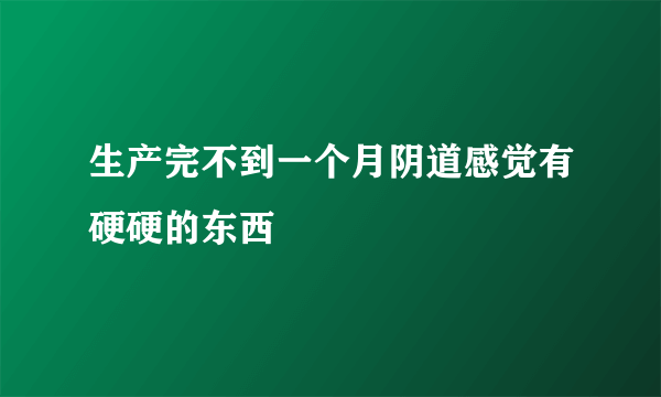 生产完不到一个月阴道感觉有硬硬的东西