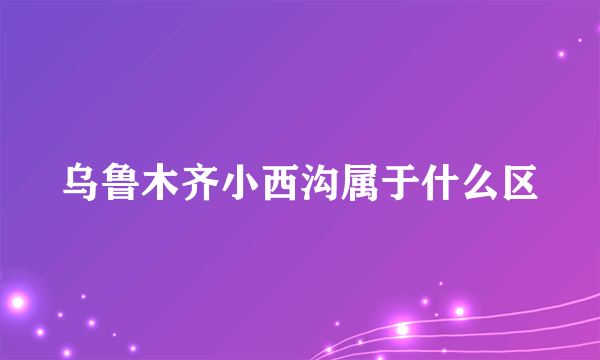 乌鲁木齐小西沟属于什么区