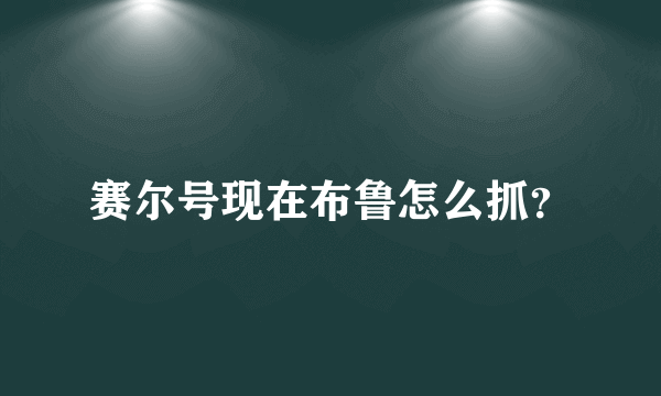 赛尔号现在布鲁怎么抓？