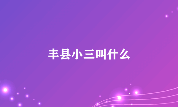 丰县小三叫什么