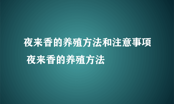 夜来香的养殖方法和注意事项 夜来香的养殖方法