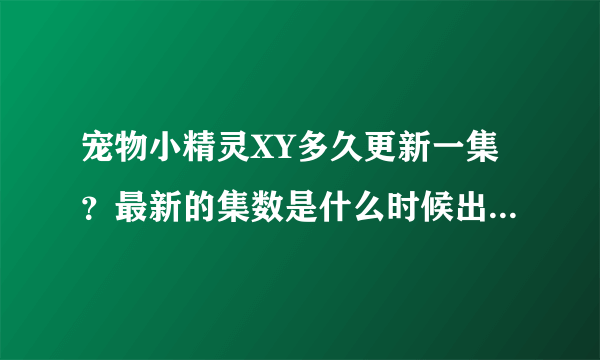 宠物小精灵XY多久更新一集？最新的集数是什么时候出的，下一集什么时候出