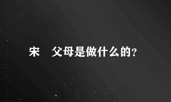 宋喆父母是做什么的？