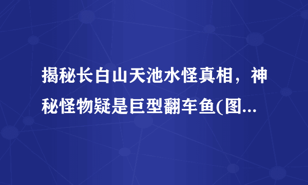 揭秘长白山天池水怪真相，神秘怪物疑是巨型翻车鱼(图片)-飞外网