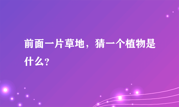 前面一片草地，猜一个植物是什么？