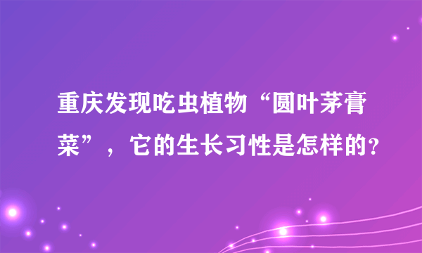 重庆发现吃虫植物“圆叶茅膏菜”，它的生长习性是怎样的？