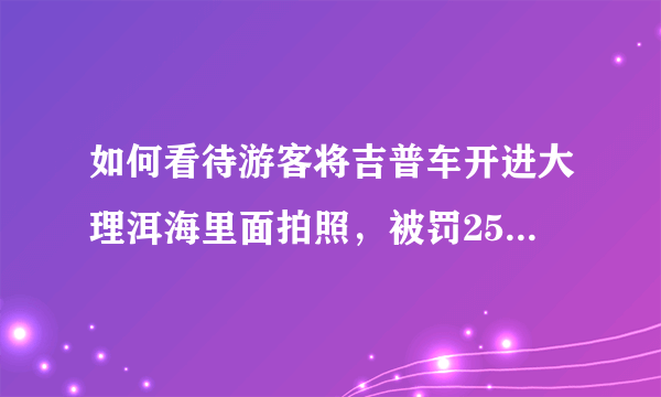 如何看待游客将吉普车开进大理洱海里面拍照，被罚2500元这件事？