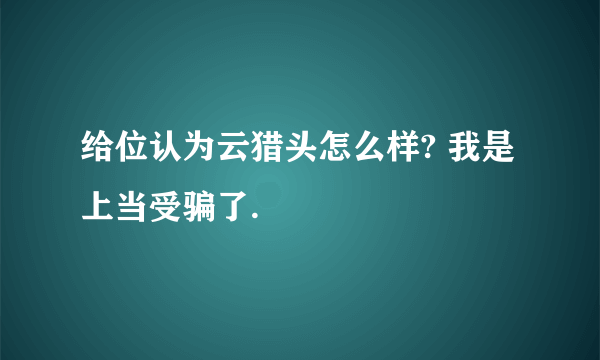 给位认为云猎头怎么样? 我是上当受骗了.