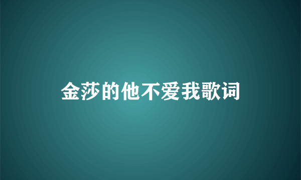 金莎的他不爱我歌词